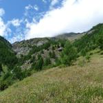 k-P1170810.JPG
