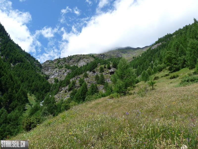 k-P1170810.JPG