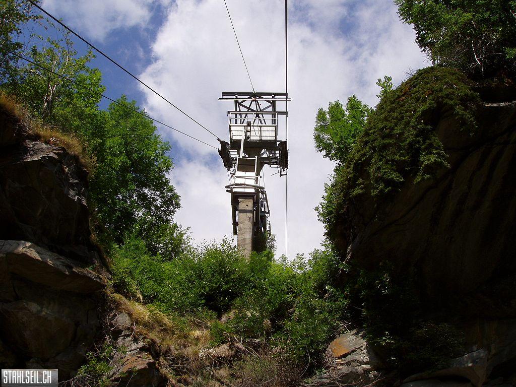k-P7190031.JPG