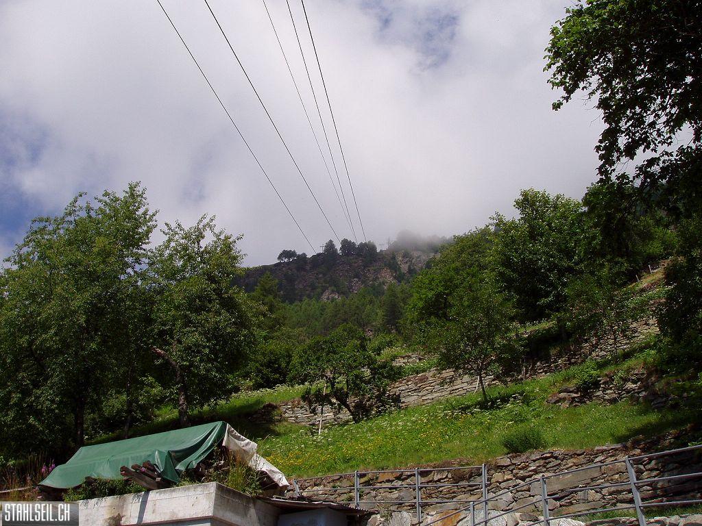 k-P7190103.JPG