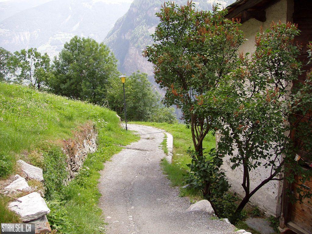 k-P7190129.JPG