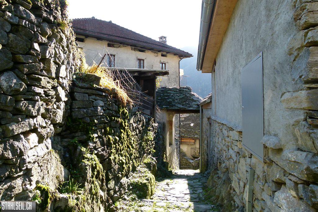k-P1430259.JPG