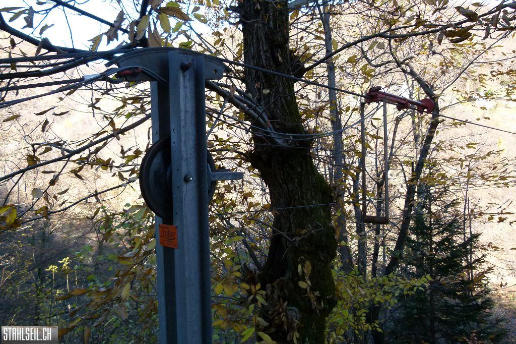 k-P1430225.JPG