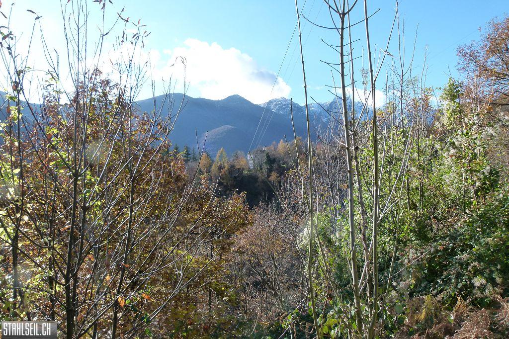 k-P1430248.JPG