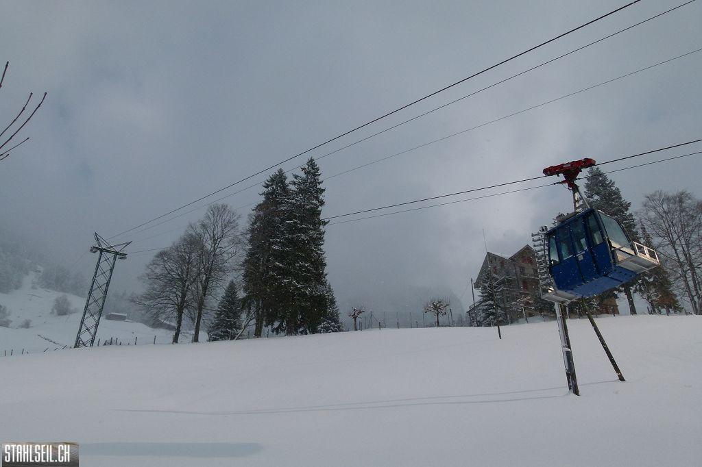 k-P1030878.JPG