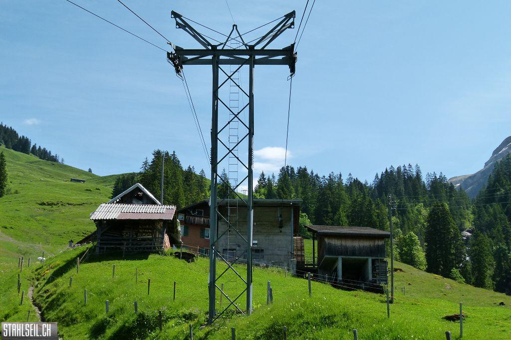 k-P1350165.JPG