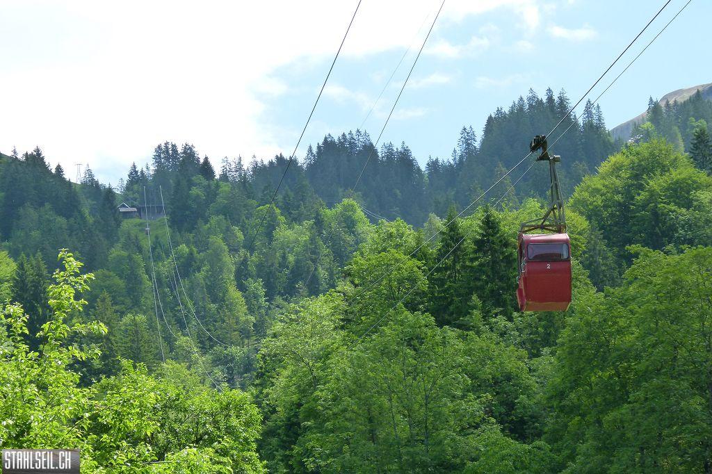 k-P1350139.JPG