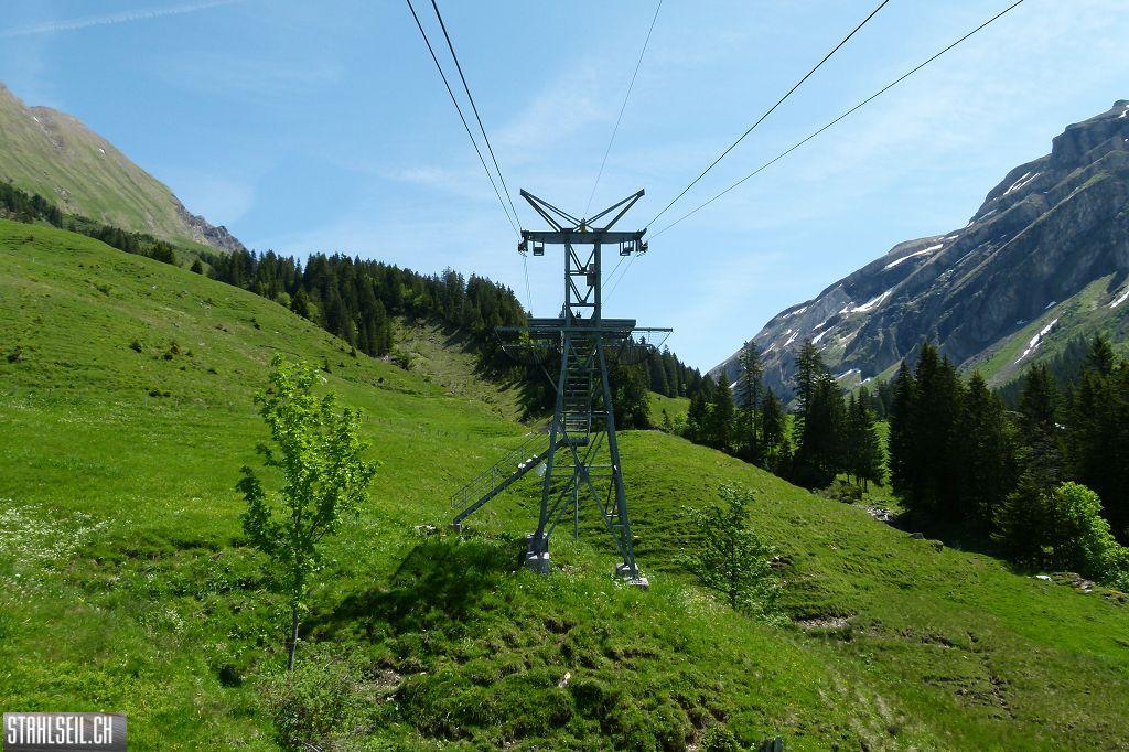 k-P1350181.JPG