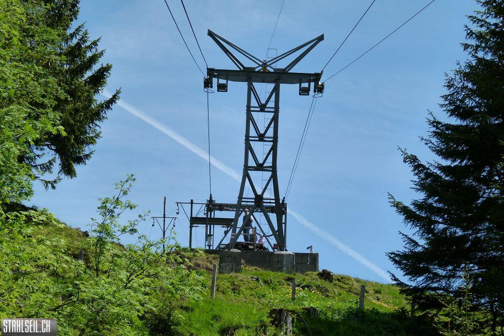 k-P1350189.JPG