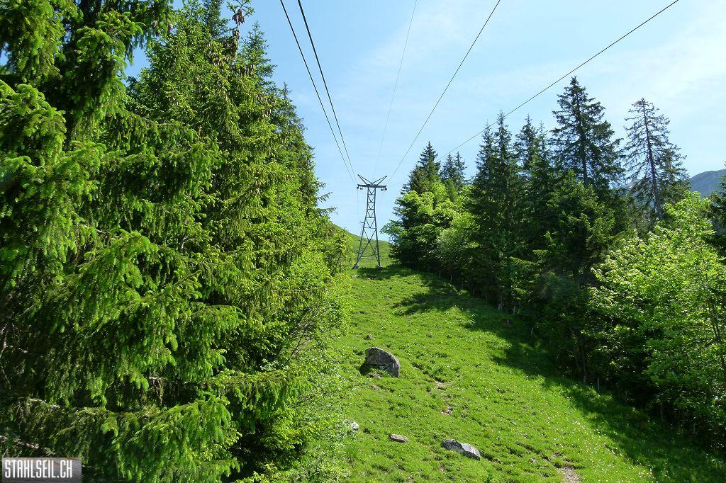 k-P1350168.JPG
