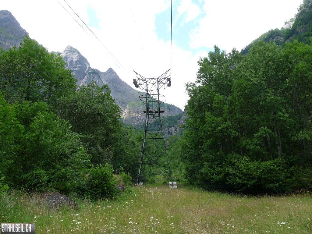 k-P1170170.JPG