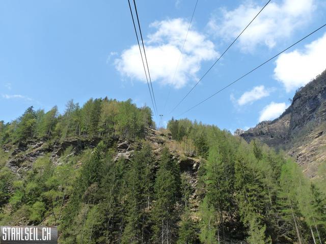 k-P1130219.JPG