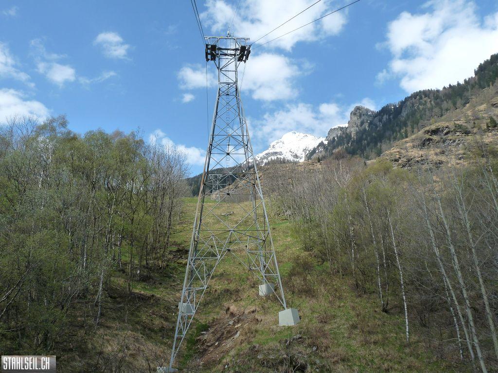 k-P1130231.JPG