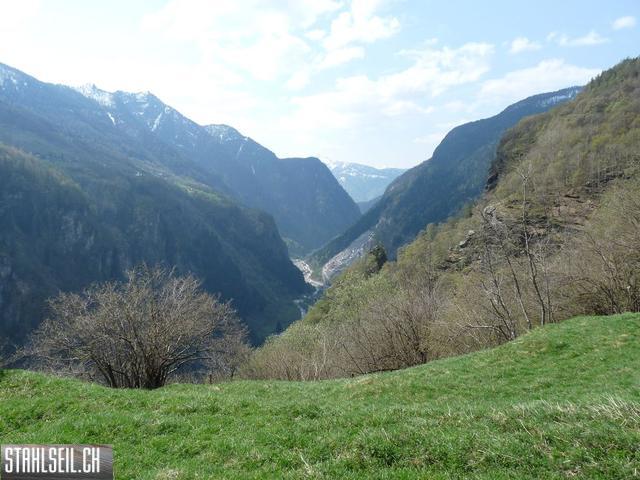 k-P1130247.JPG