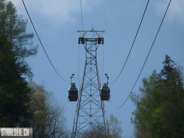 k-P1130356.JPG