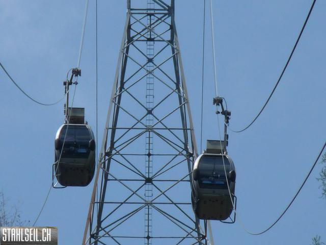 k-P1130358.JPG