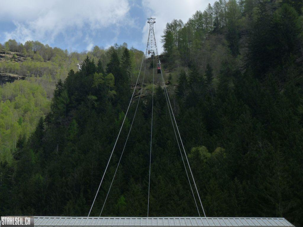 k-P1130388.JPG