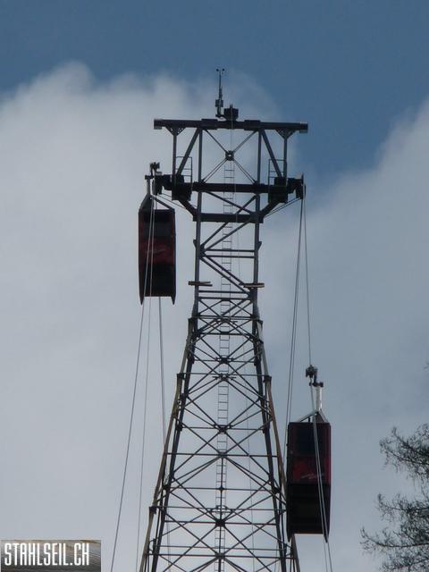 k-P1130391.JPG