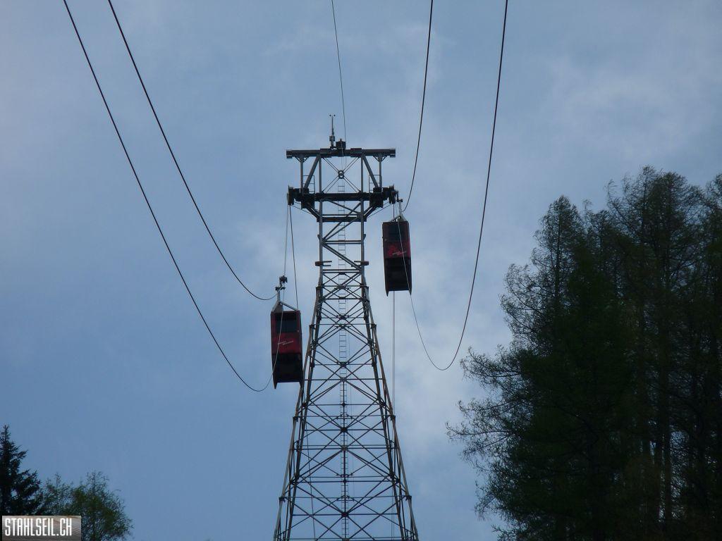 k-P1130396.JPG