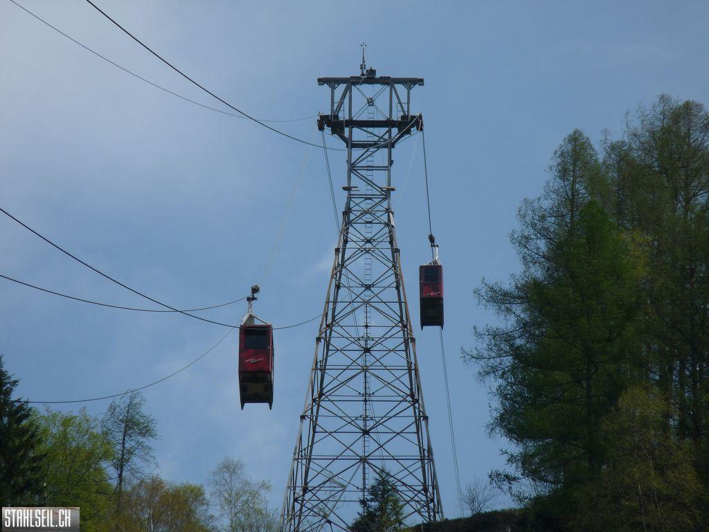 k-P1130401.JPG