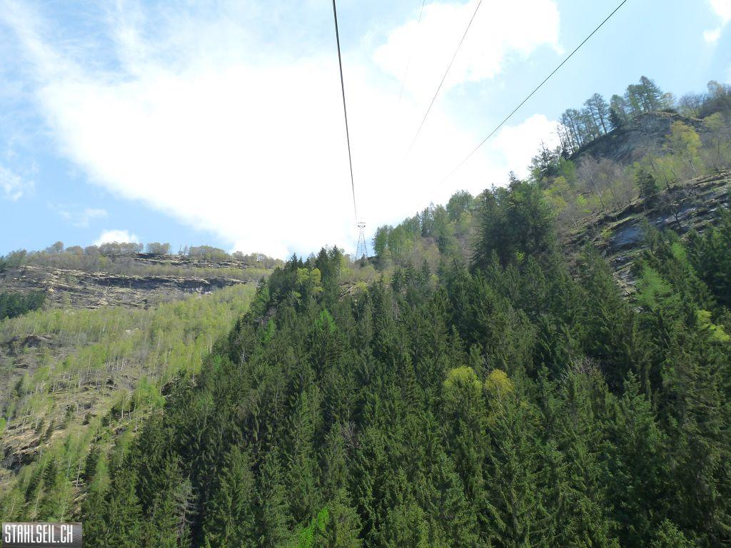 k-P1130415.JPG