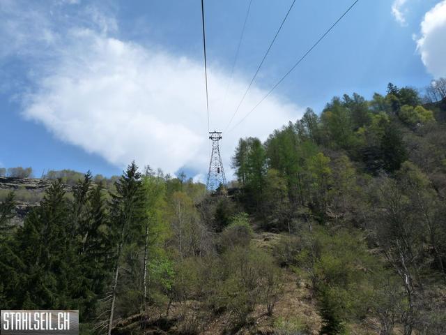 k-P1130420.JPG