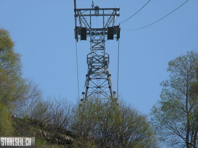 k-P1130435.JPG
