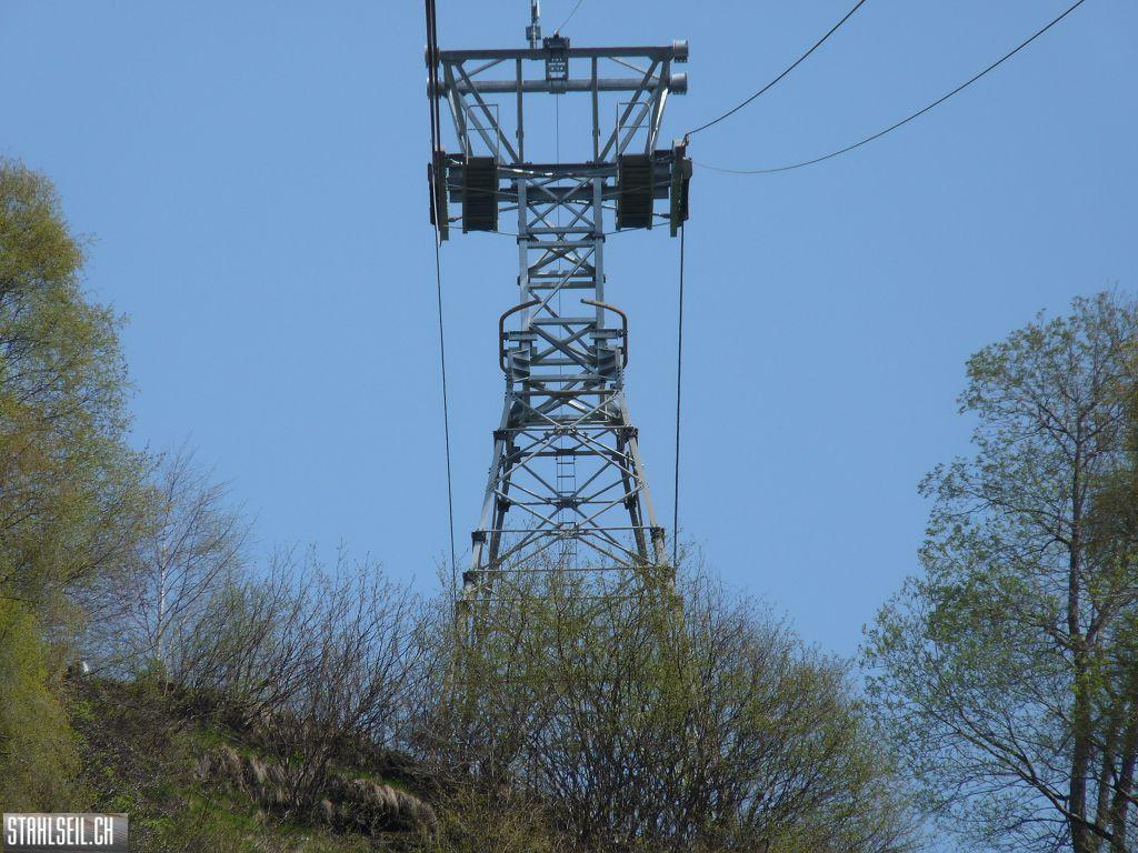 k-P1130435.JPG