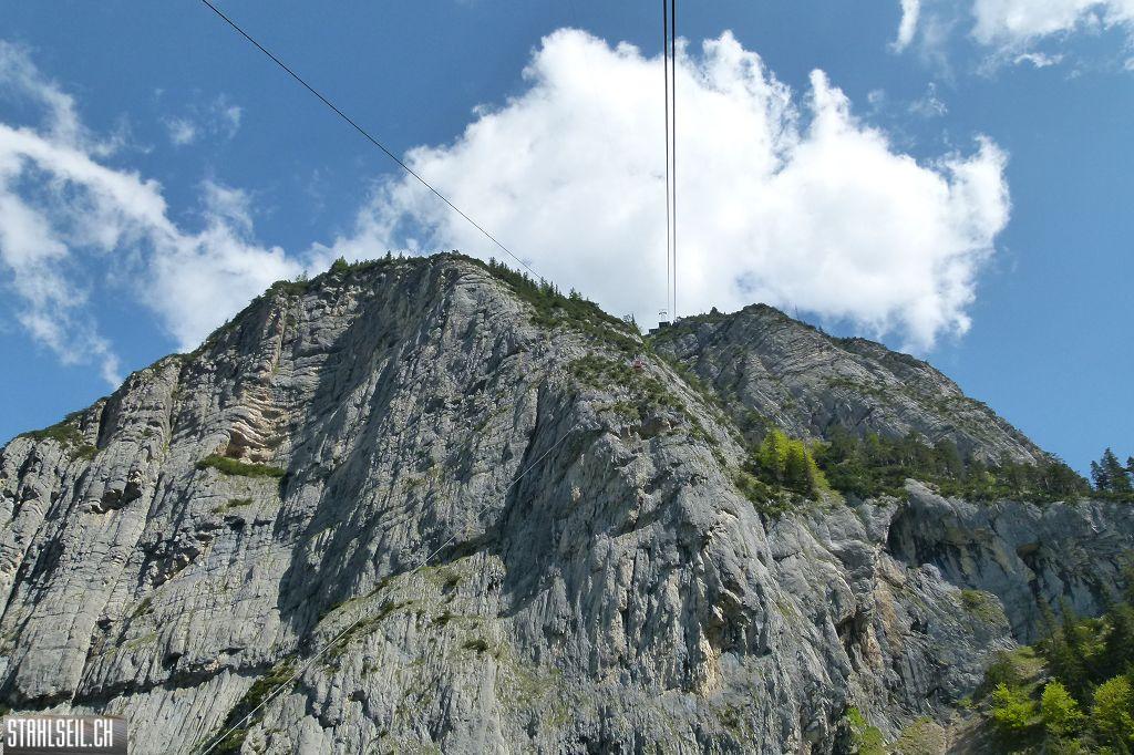 k-P1490272.JPG