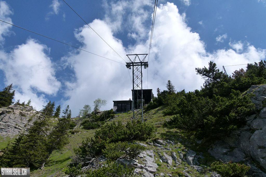 k-P1490282.JPG