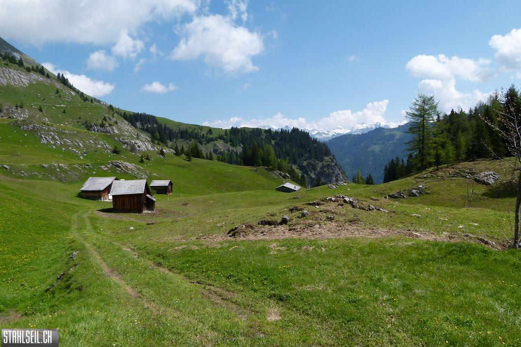 k-P1490312.JPG
