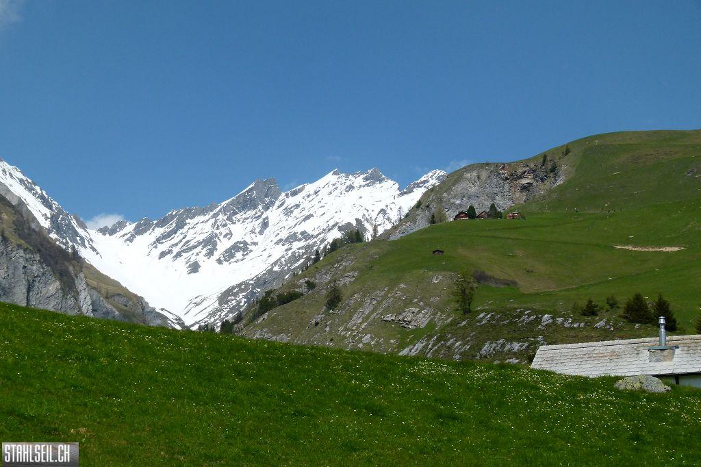 k-P1490313.JPG