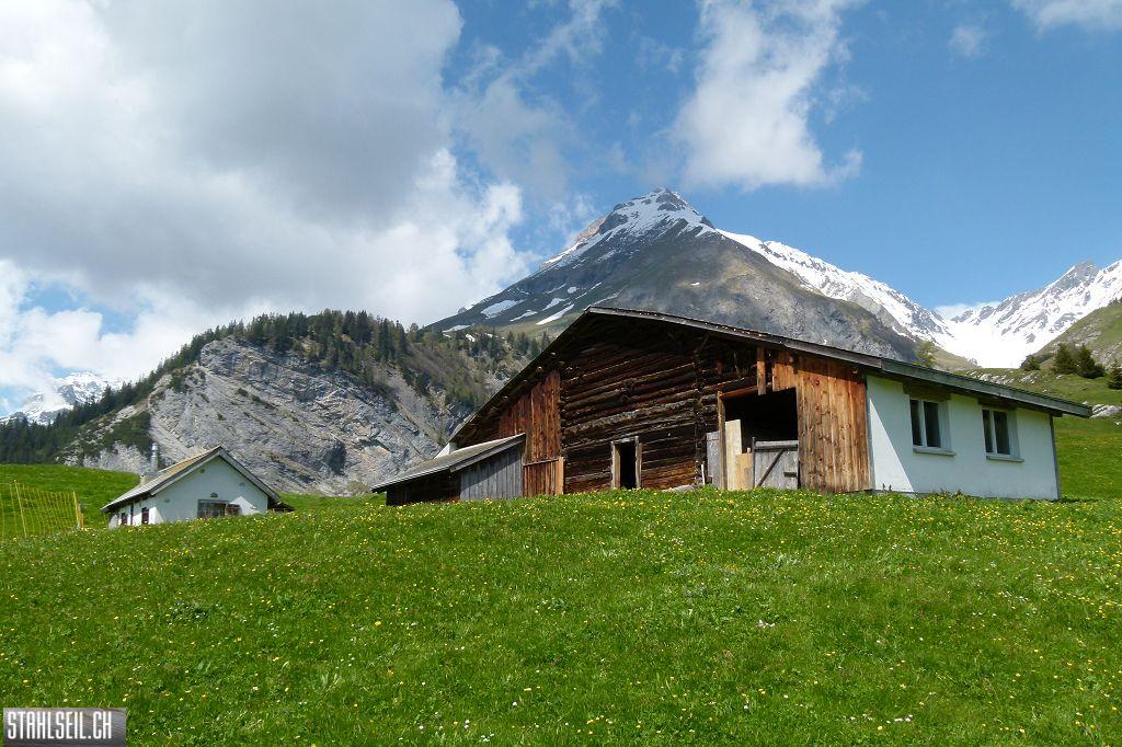 k-P1490315.JPG