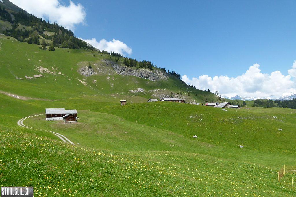 k-P1490419.JPG
