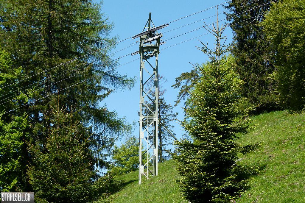 k-P1490164.JPG