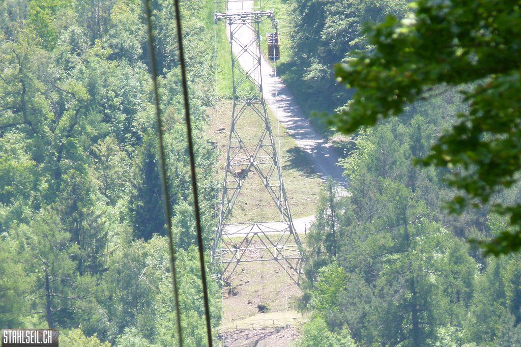 k-P1490216.JPG