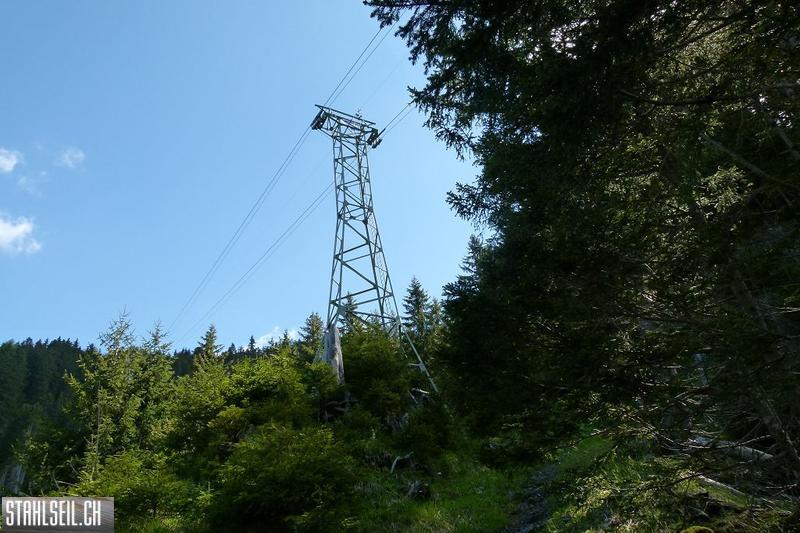 k-P1490119.JPG