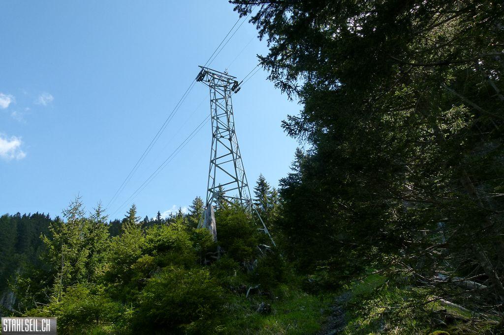 k-P1490119.JPG