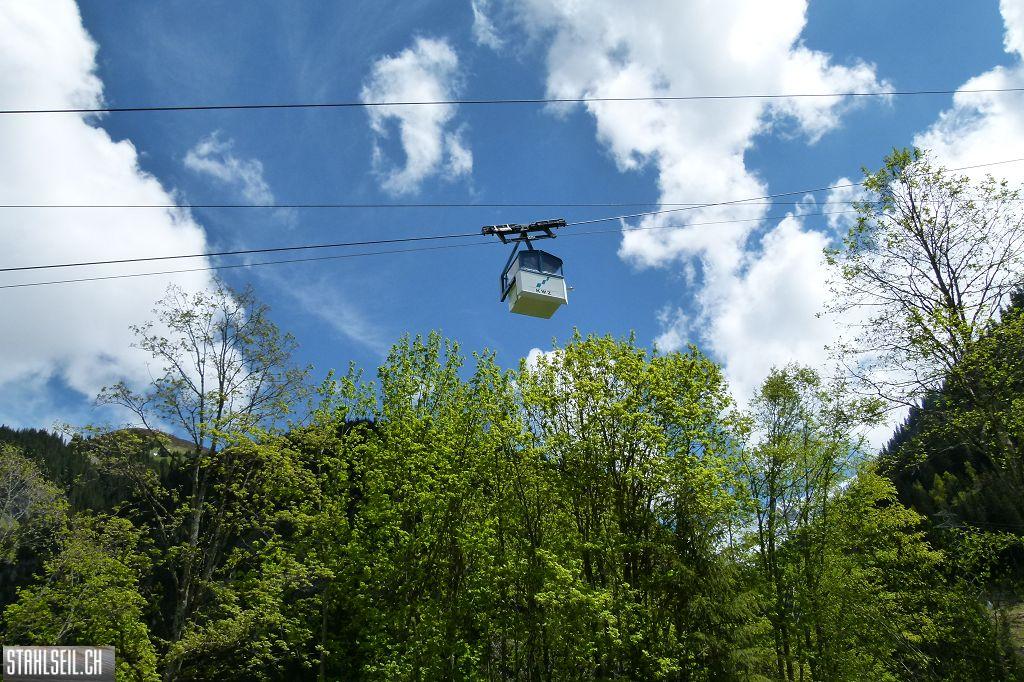 k-P1480969.JPG