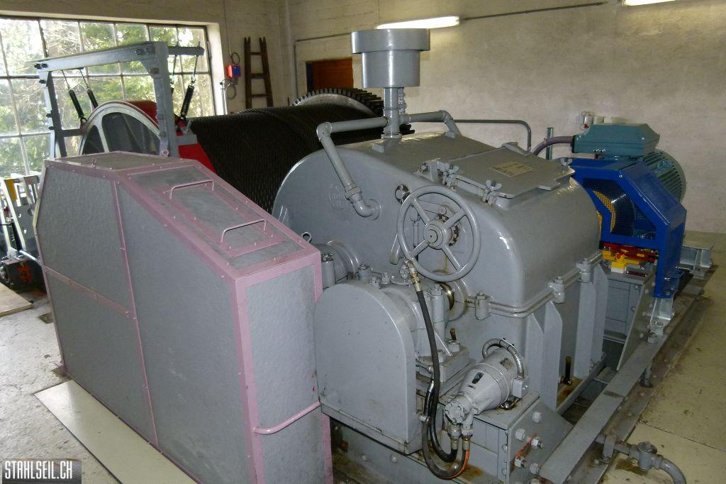 800P-P1490068.JPG
