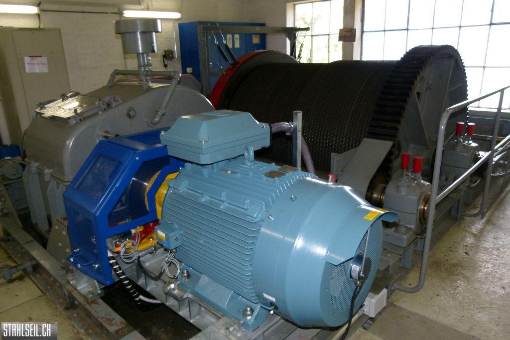 800P-P1490071.JPG