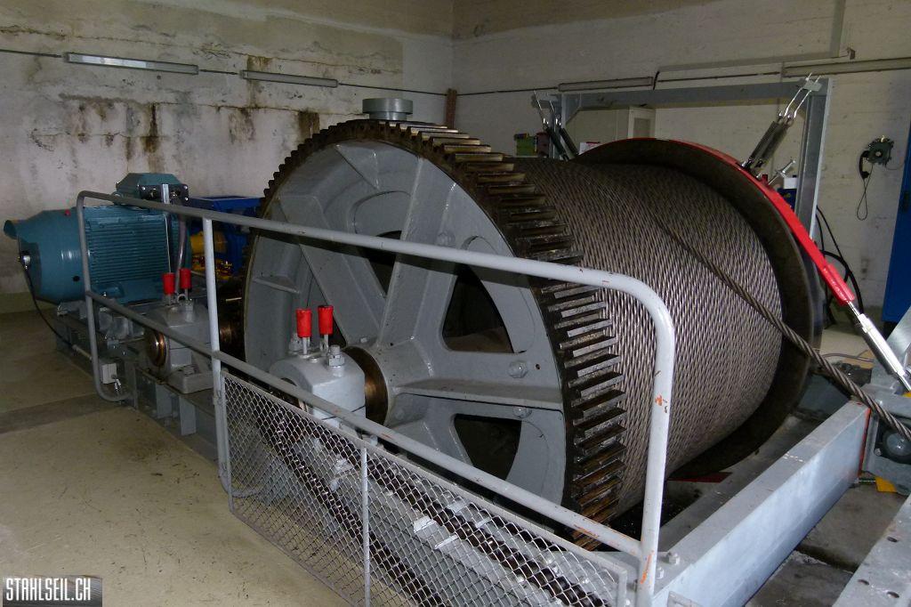 800P-P1490073.JPG