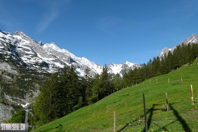 800P-P1490524.JPG