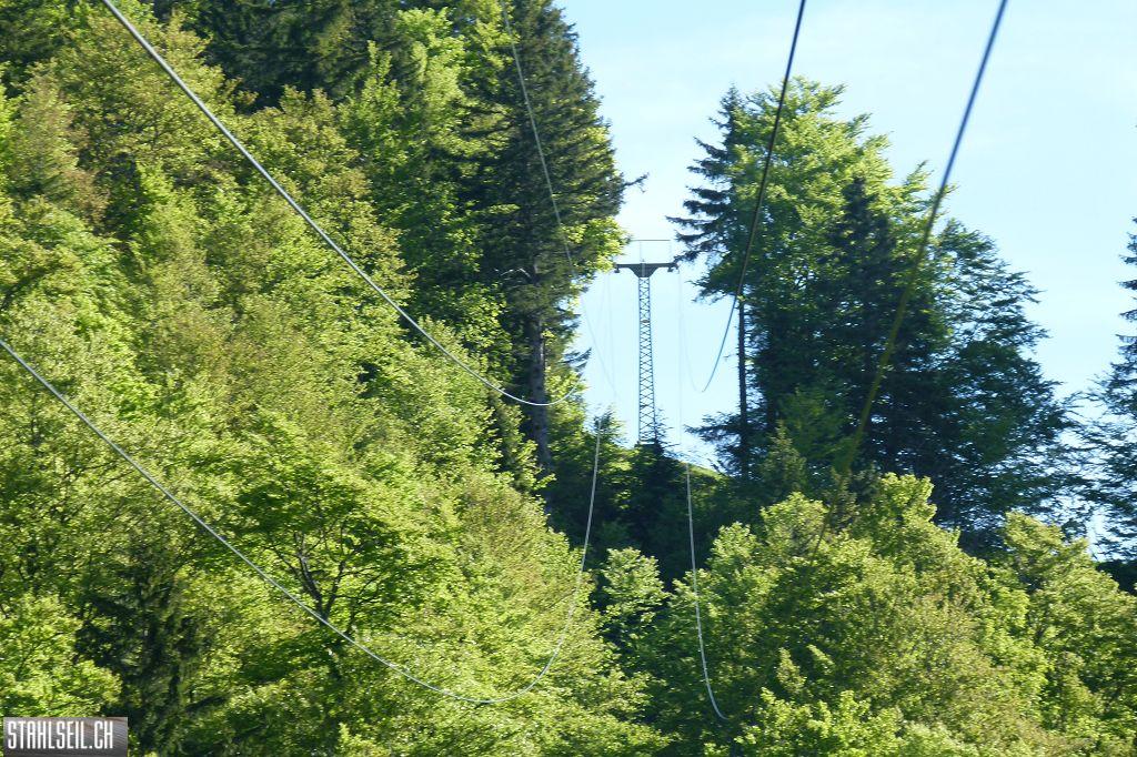 800P-P1490559.JPG