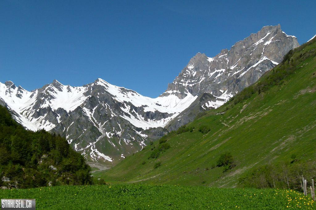 800P-P1490567.JPG