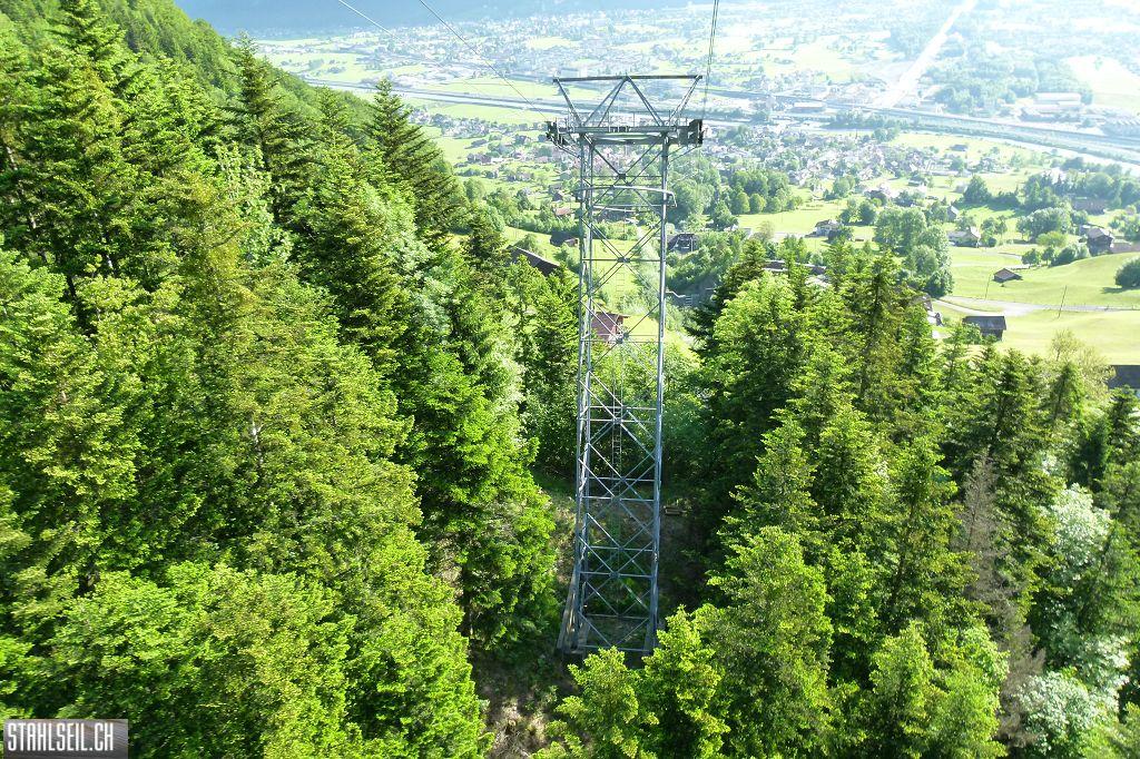 800P-P1490508.JPG
