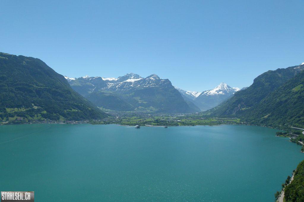 800P-P1490629.JPG