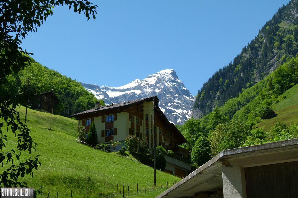 800P-P1490633.JPG