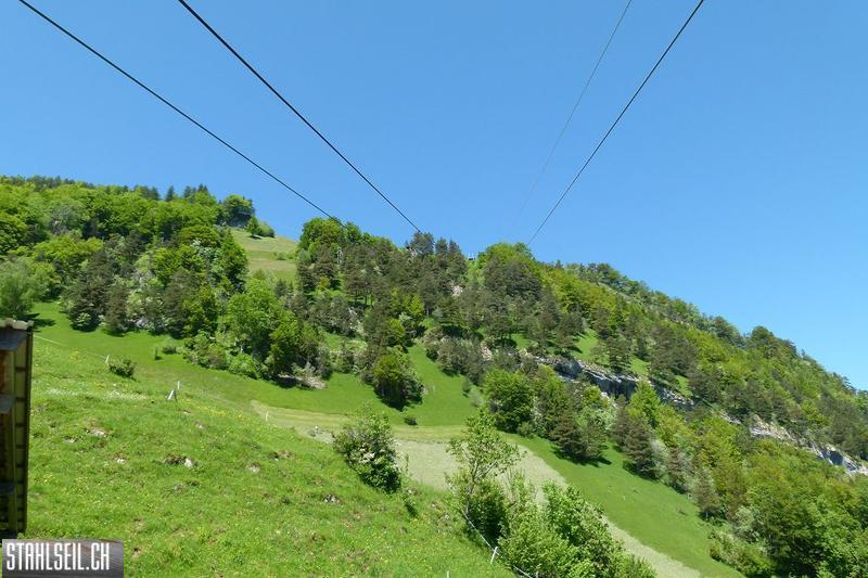800P-P1490649.JPG