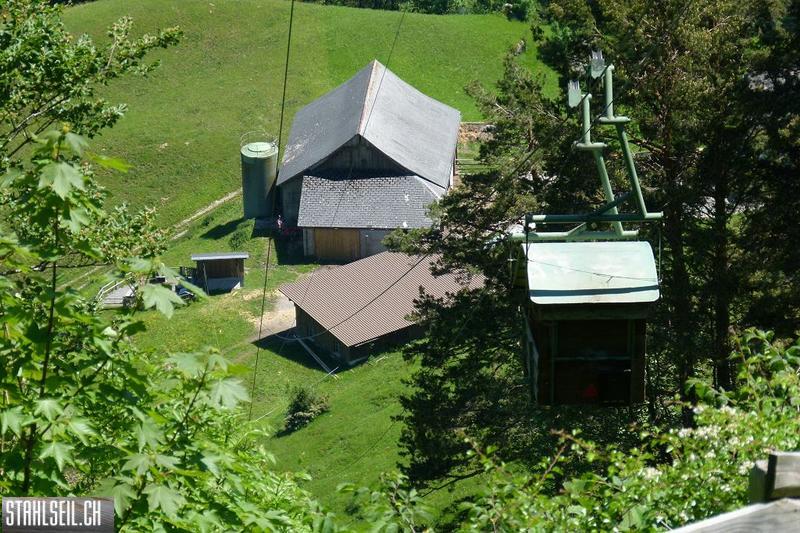800P-P1490726.JPG